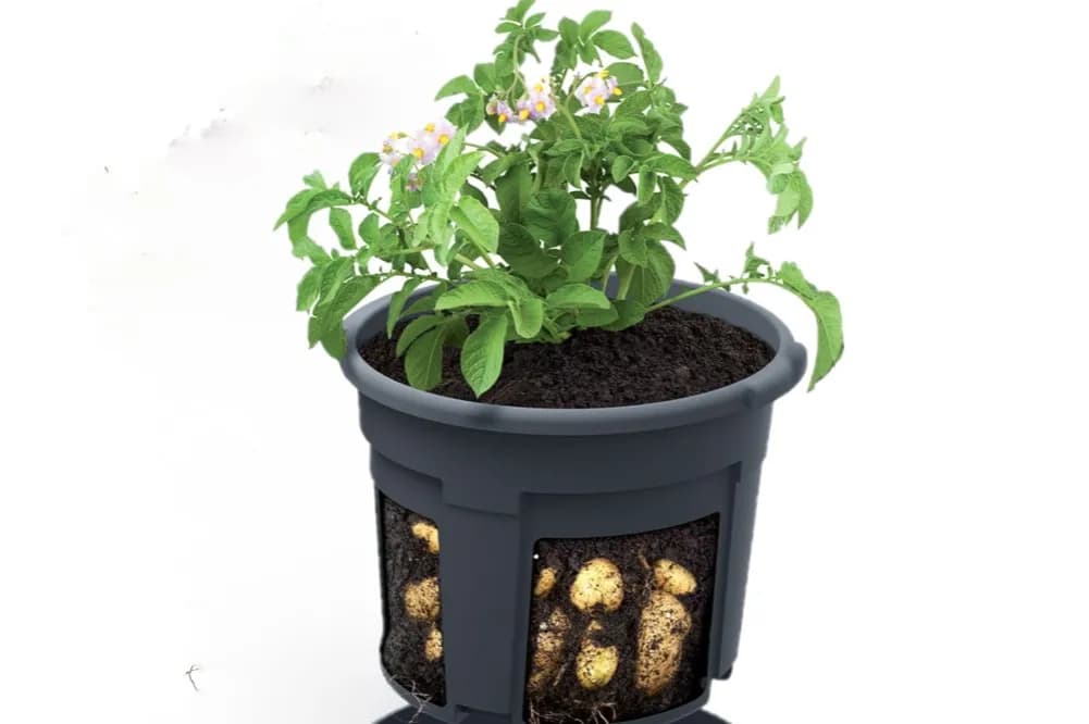 Najlepsza Doniczka na Ziemniaki - Wybierz Idealną do Hodowli w Domu