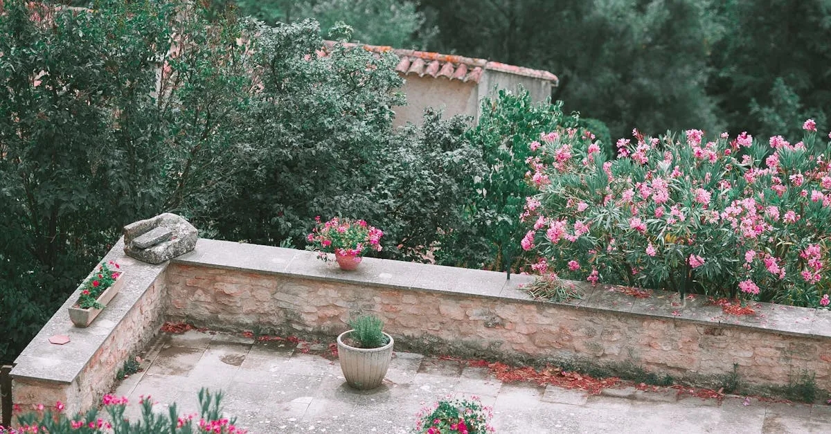 Dlaczego polscy aktorzy uprawiają warzywa na balkonach?